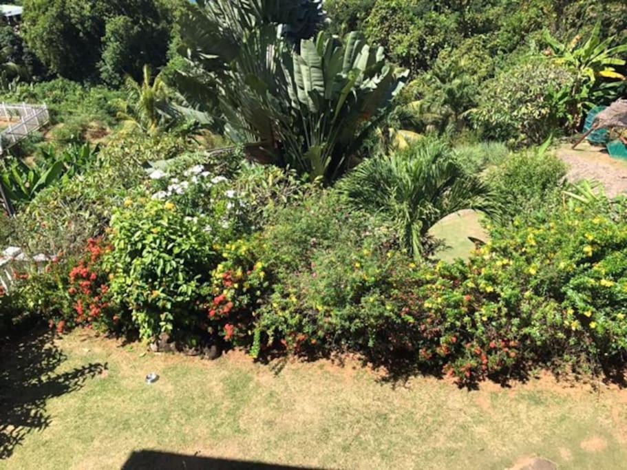 Hilltop South - Villa Bougainville Такамака Экстерьер фото