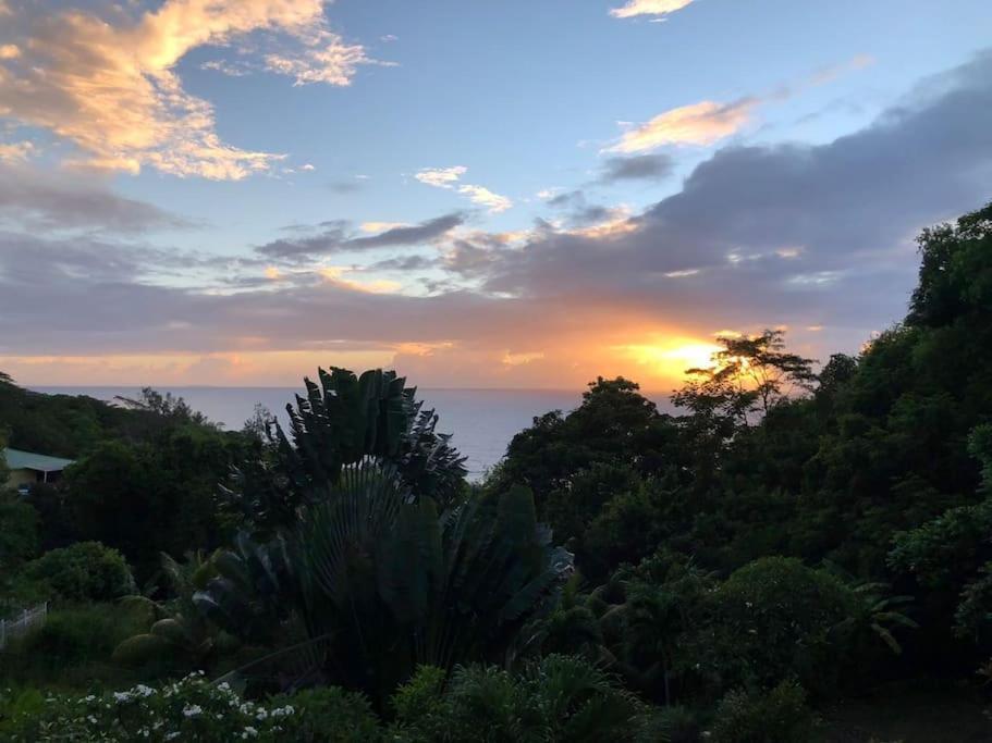 Hilltop South - Villa Bougainville Такамака Экстерьер фото