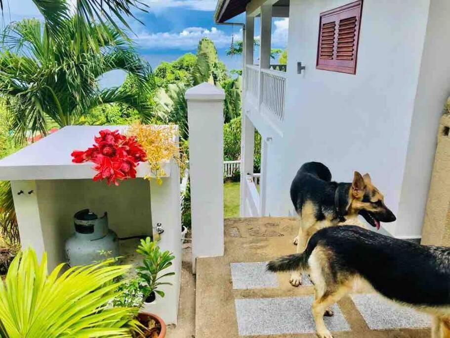 Hilltop South - Villa Bougainville Такамака Экстерьер фото